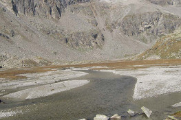 Il Rio Noaschetta presso l'Alpe La Bruna (Foto P. Terzolo)