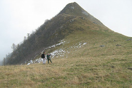 Il Pian delle Masche tra Cima Rosta e Cima Loit (Foto P. Piatti, P. Quagliolo)