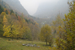 Veduta della Valle di Forzo (Foto P. Piatti, P. Quagliolo)