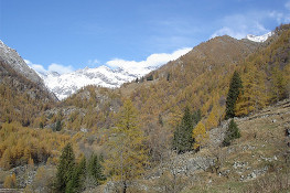 Veduta dell'Alta Valle di Campiglia (Foto P. Piatti, P. Quagliolo)