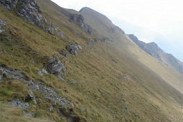 Il sentiero che sale verso il Colle della Borra (Foto P. Piatti, P. Quagliolo)