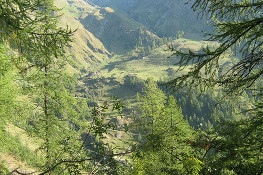 Scendendo a Piamprato, bella veduta del Vallone del Reale e del Colle Larissaz (Foto P. Piatti, P. Quagliolo)