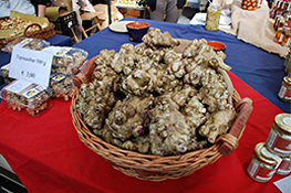 Ciapinabò o Topinambur di Carignano