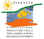 Logo Tinca Gobba Dorata del Pianalto di Poirino