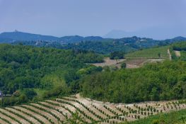 Descrizione (2)