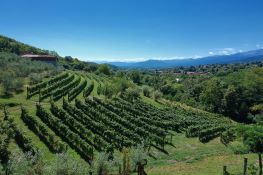 Colline Pinerolesi