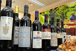 Vini della Provincia