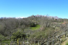 Arte vino in Canavese