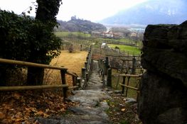 Le vigne di frazione Figliej in vista di Montestrutto