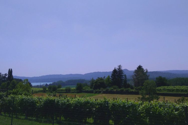 Lo specchio del lago nel verde della campagna