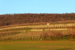 Il paesaggio rurale della Serra morenica a Piverone