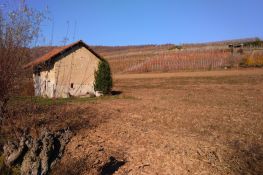 Campi, vigne e boschi si succedono sino al crinale della Serra