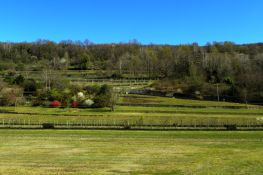 Terrazzamenti sull’Anfiteatro morenico di Ivrea