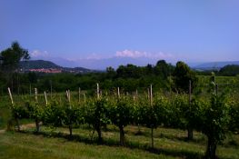 Veduta di Candia e delle montagne biellesi
