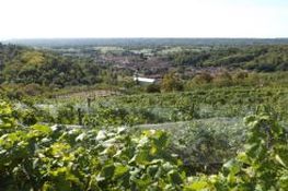 L’affaccio dei vigneti sul paese di Levone