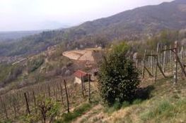 Le panoramiche colline vitate