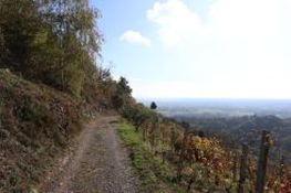 Il percorso panoramico tra i vigneti