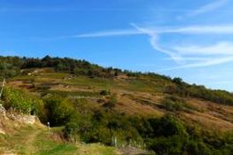 Veduta della collina di Pescemonte