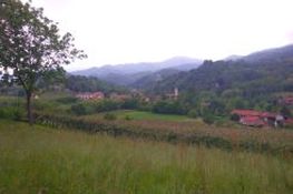 La borgata San Michele immersa nel verde