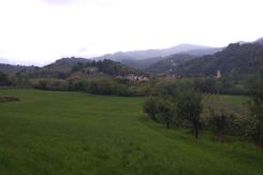 Le verdi colline ai piedi della valle Pellice
