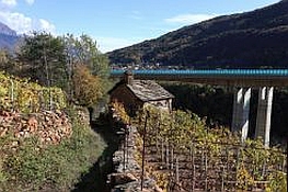 Storiche vigne di fronte al viadotto dell’autostrada