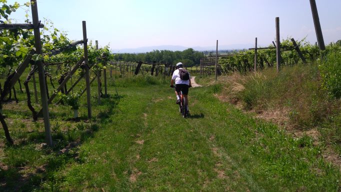 In bici tra i vigneti