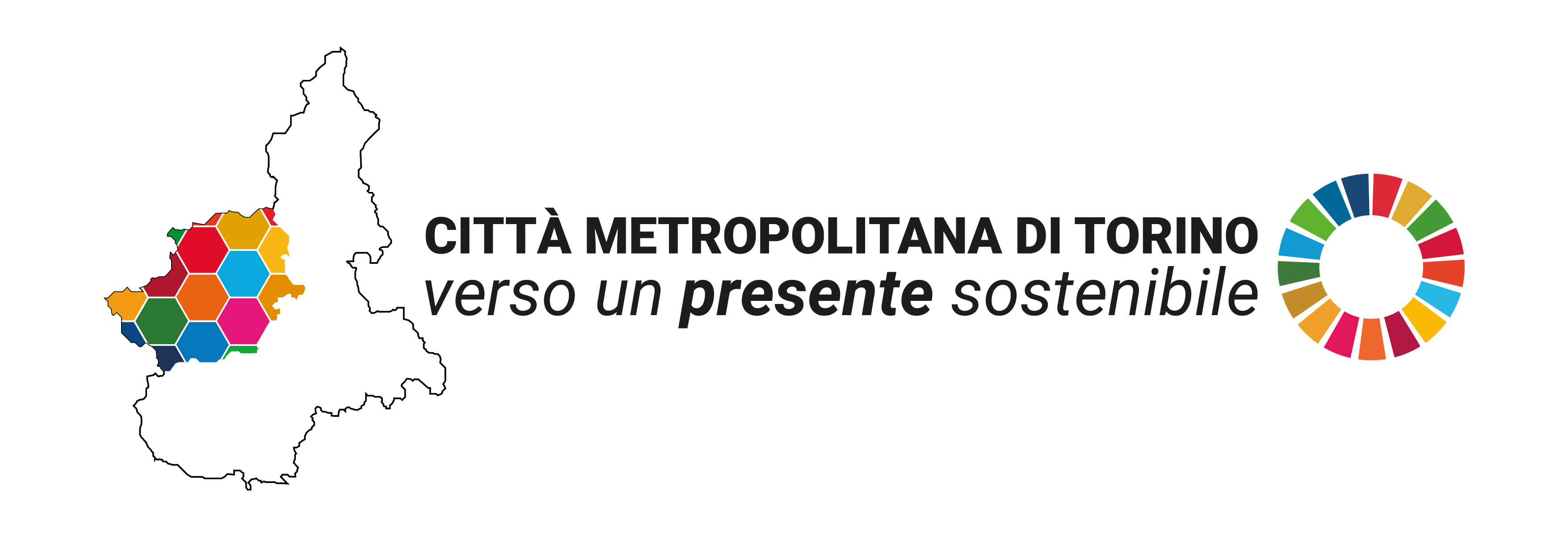 logo amsvs