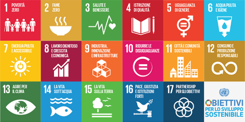 Logo 13 obiettivi Sviluppo Sostenibile