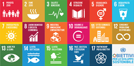Logo 13 obiettivi Sviluppo Sostenibile