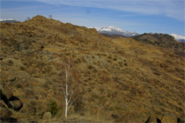 Vista dei Monti Pelati