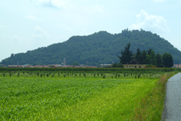 Campagna pinerolese e Rocca di Cavour