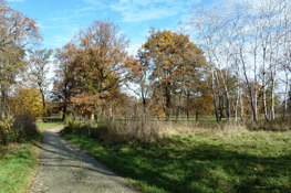 Parco naturale di Stupinigi