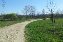 Parco Cascina Castelverde - Settimo p