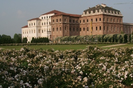 Reggia - Venaria p