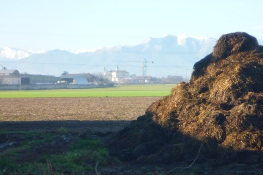 La campagna a Pianezza p