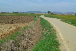 Percorso ciclabile nei campi a Chieri p