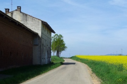 percorso ciclabile nel chierese p