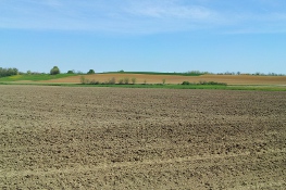 campagna tra Chieri e Carmagnola p