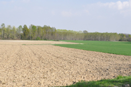 Appezzamenti agricoli presso il Lago di Candia