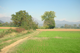 Area agricola
