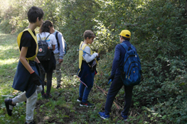 La raccolta prosegue al margine dei campi