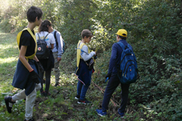 La raccolta prosegue al margine dei campi