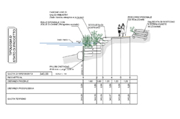 Il progetto di rinaturalizzazione della sponda