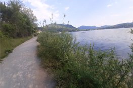 Rinaturazione delle sponde - Lago Grande di Avigliana