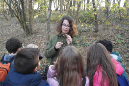 Osservazione di alberi e arbusti