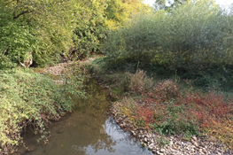 Il ripristino dei meandri sul torrente Herbasse