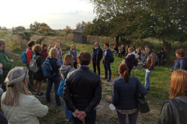 Visita alle paludi del Verdier - Camargue