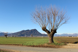 Il Monte San Giorgio a Piossasco