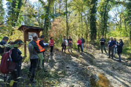 L'intervento nel bosco demaniale di Ivrea