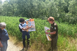 Descrizione sul campo degli interventi in progetto